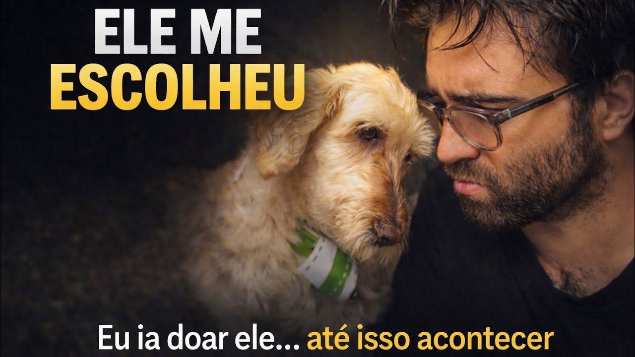O dia em que eu percebi que o Floquinho tinha me escolhido. 