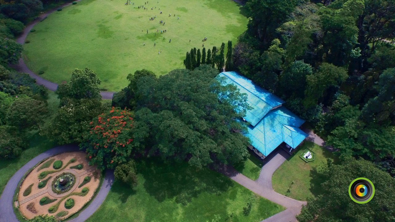 Tourist Attractions | Botanical Garden Peradeniya  | GoPlaces Sri Lanka