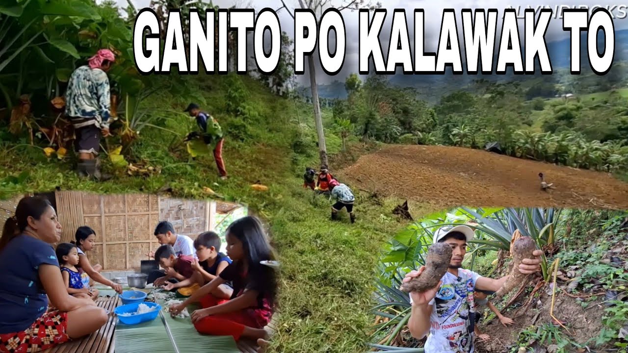 Bukid Ni Baby Vincent! Pinalinis Na Namin