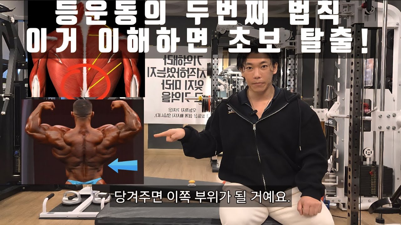 등운동 팔꿈치 위치에 따른 타겟 변화｜같은 로우, 다른 자극