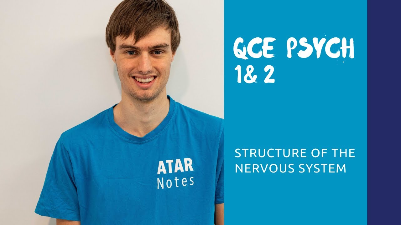 QCE Psychology | Structure of the Nervous System