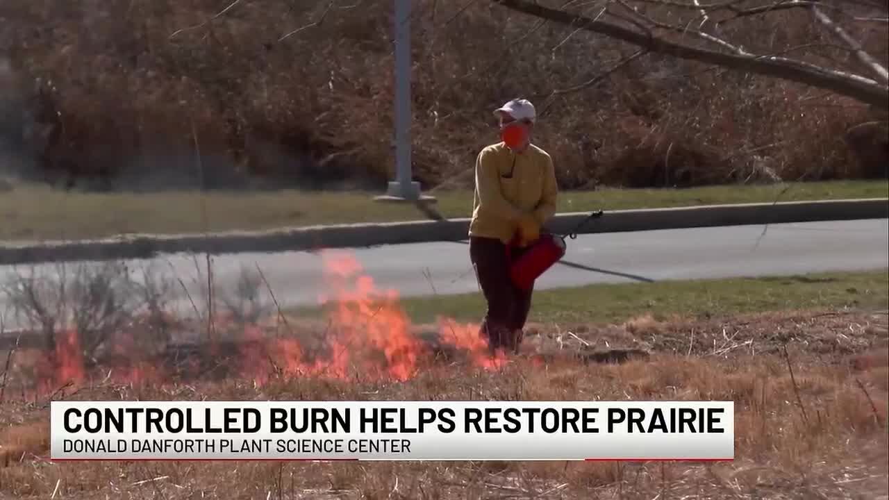 Creve Coeur Science Center conducts controlled fire to prairie