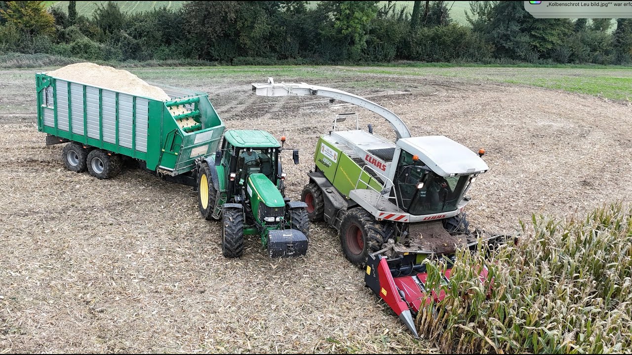 Maiskolbenschrot Ernte mit Lohnunternehmer Leu 🌽🇨🇭