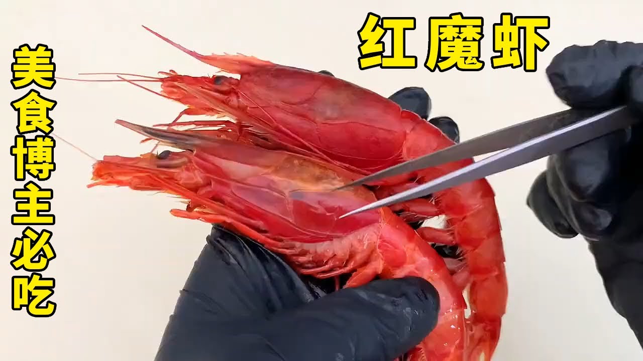 众多美食博主必吃的网红红魔虾，其实分为两种，如何正确区分你知道吗？【老郭美食】