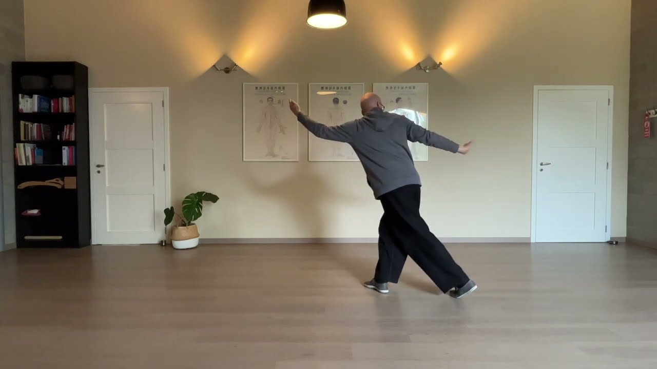 De zwemmende draak stappen Qigong - Demo Jan