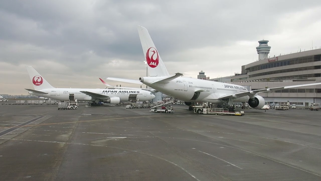 JAL B737-846 （JL0221）Tokyo(Haneda) Gate10 Push back＆Engine Start
