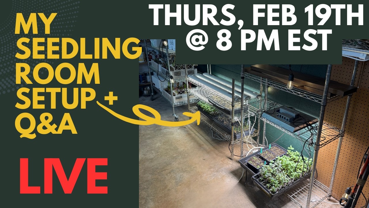 Seedling Room Setup & Q/A