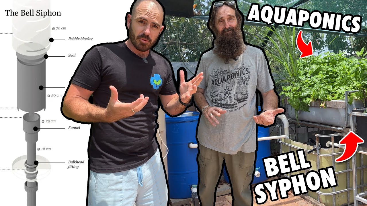 Bell Syphons Explained + Aquaponic System Tour: Feat. Rob Bob 🐟♻️🌱