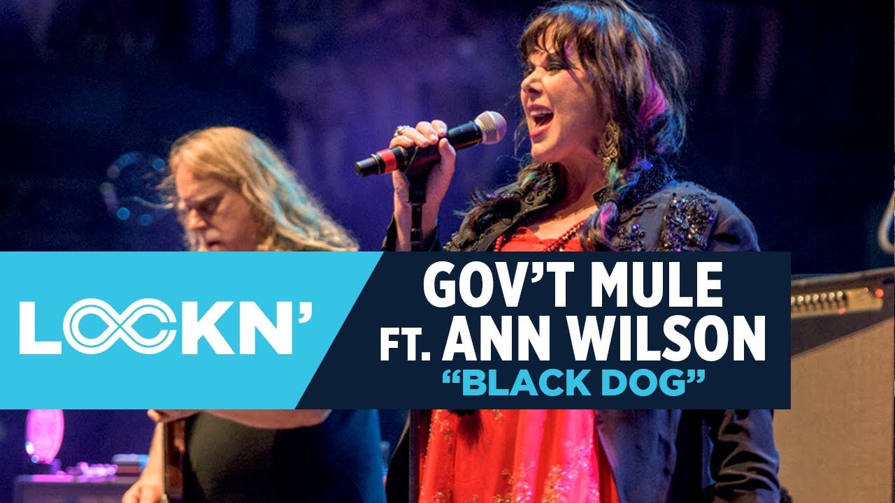 Gov't Mule ft. Ann Wilson - 