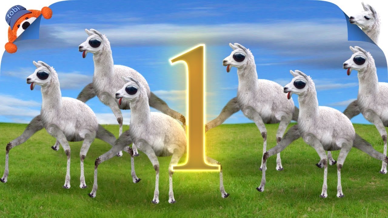 El sueño de Paco | Llamas del Tiempo 1 | TobiAnimados