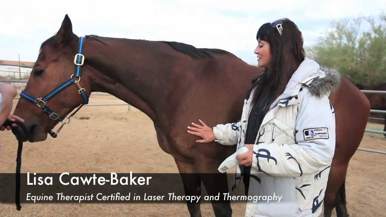 Bowed tendon recovery in 90 days with Laser Therapy? Lisa Cawte-Baker explains how.