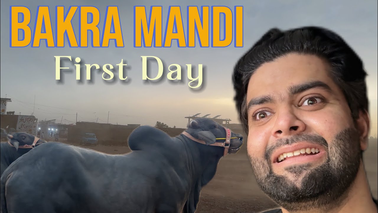 Bakra Mandi First Day || Yaseen Malak || Okboys