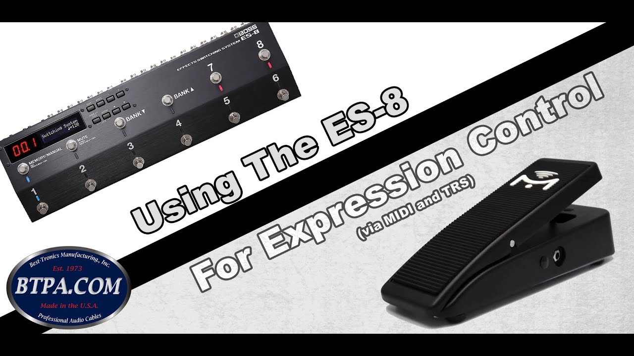 Using the ES-8 to Control Multiple Effects' Expression (MIDI & NON-MIDI)