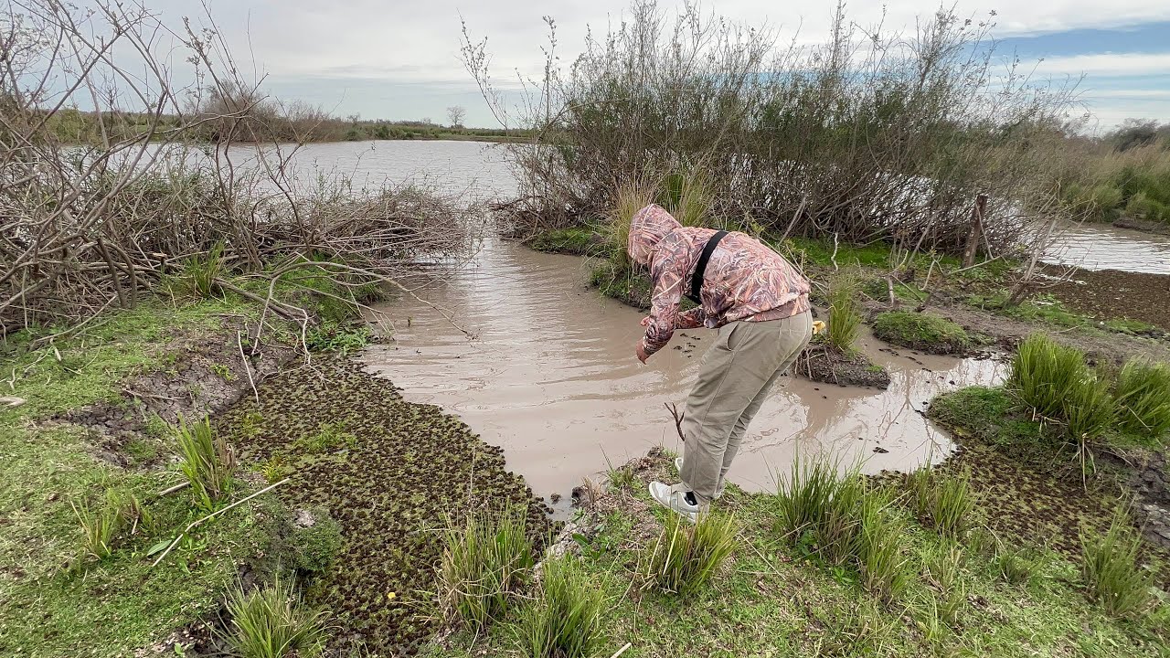 ¡ESTE CHARCO ESTÁ LLENO DE BAGRES! Pesca, cocina, naturaleza y brazoladas en el arroyo