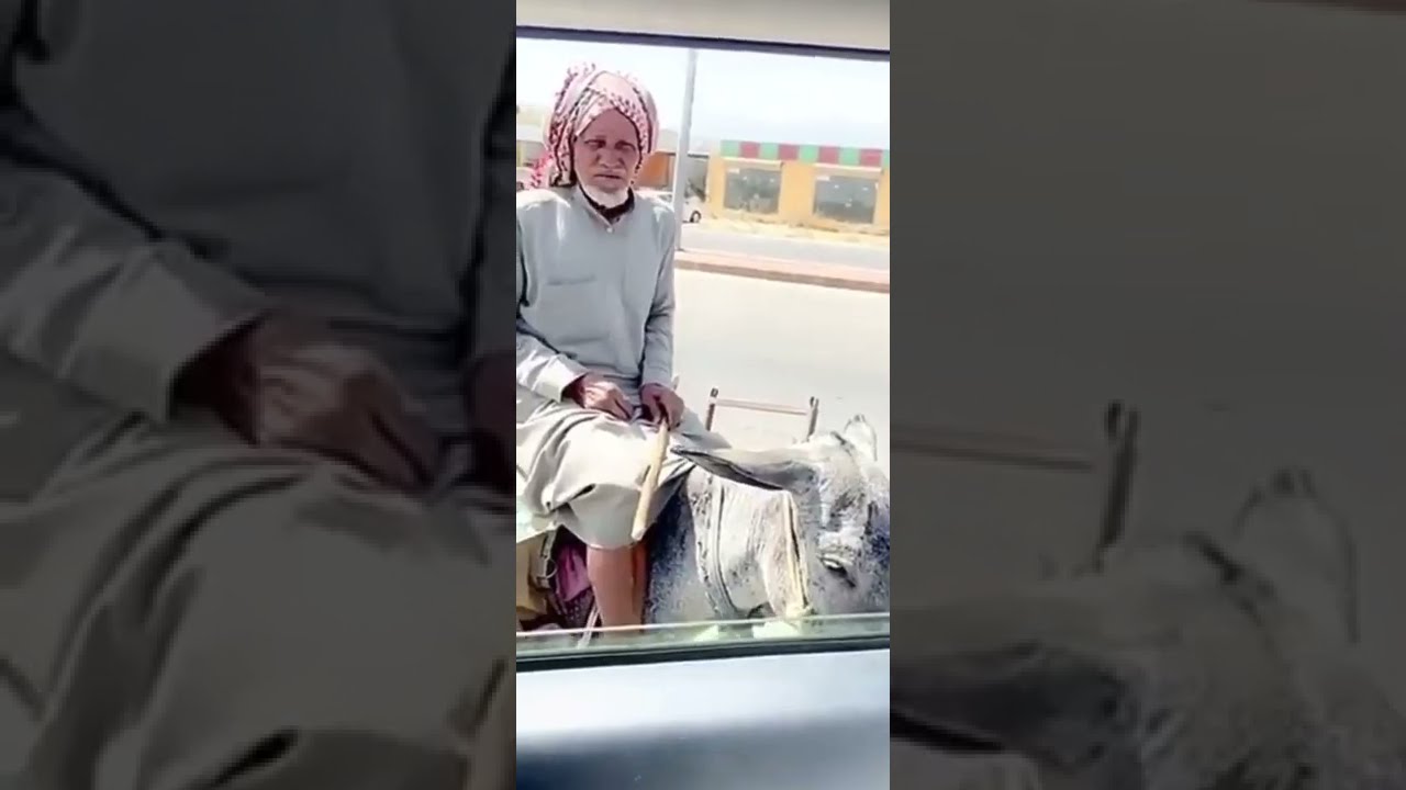 أحمد بن زربان : عودت اروح عند قيصر على طعميته
