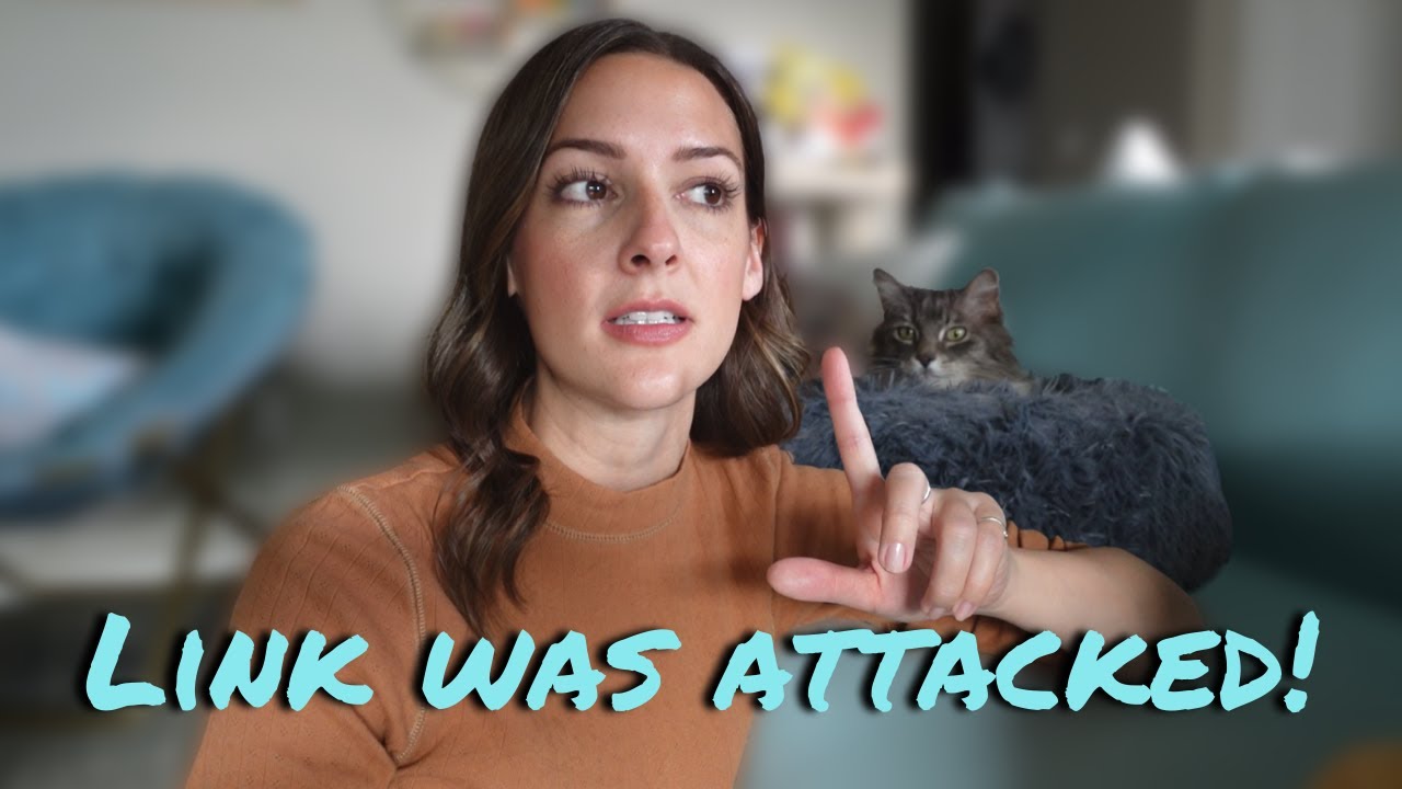 Brazil, Cat Attack, and Escargot 📹 Adara Vlogs