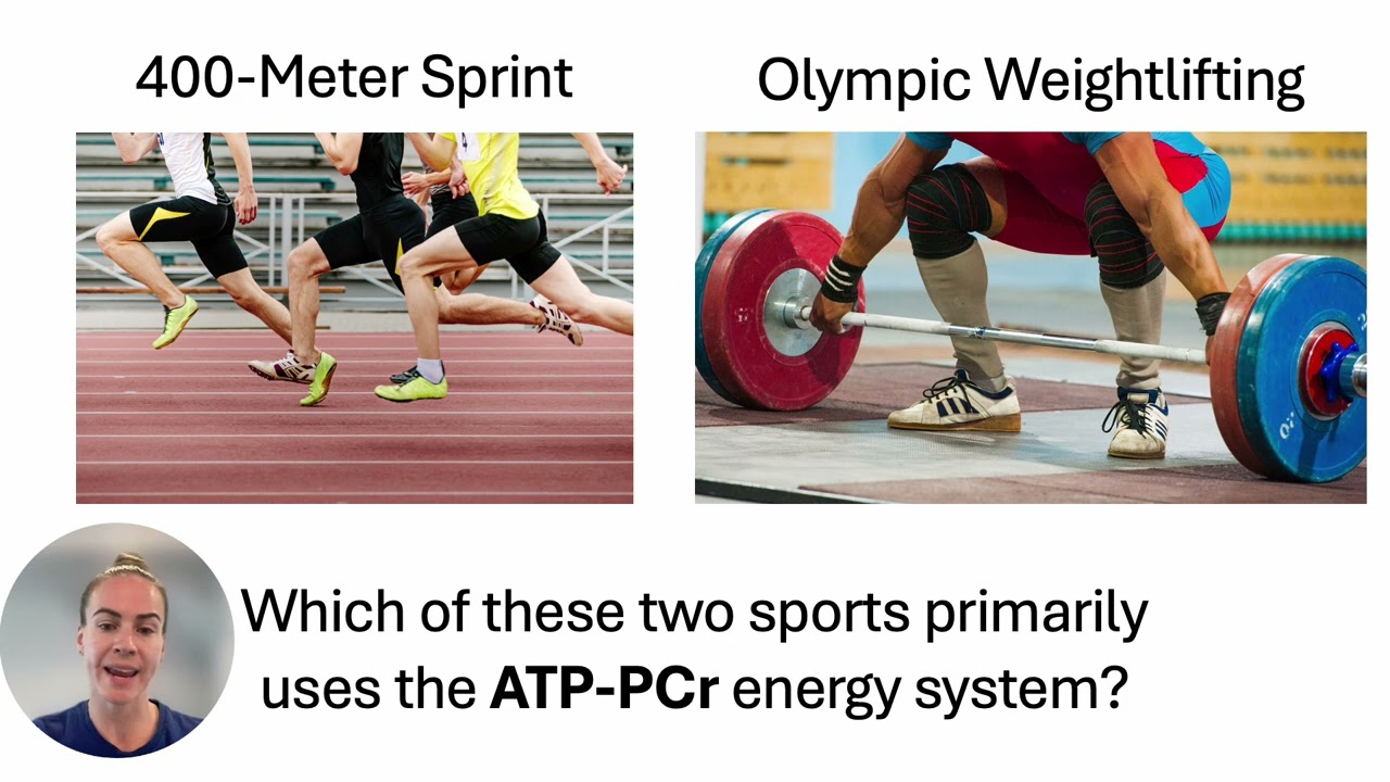 Energy Systems in Sports: Understanding Their Role in Performance