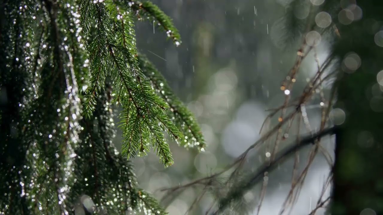 Som de Chuva Corrente Relaxante 🌧️ | Relaxamento Profundo e Sono Tranquilo
