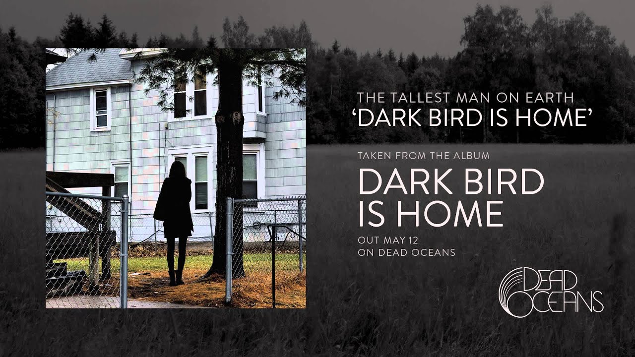 The Tallest Man On Earth - Dark Bird Is Home