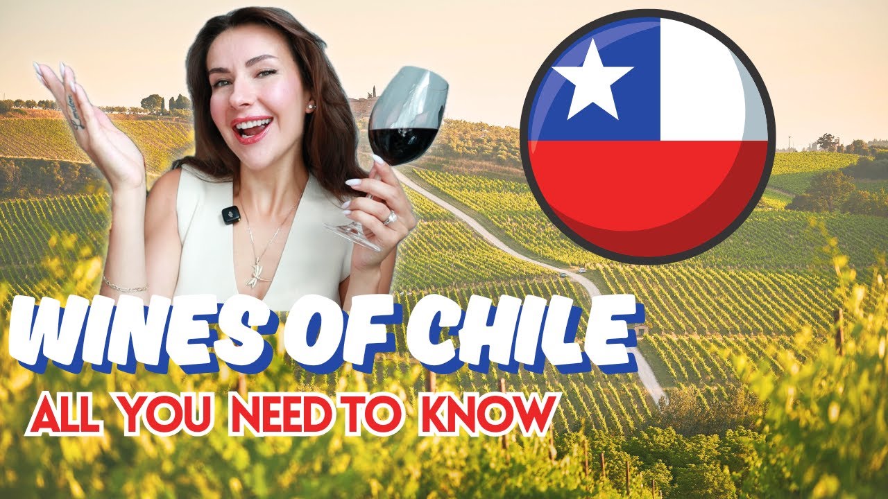 Wines of Chile Explained | Best Chilean Wines 🍷