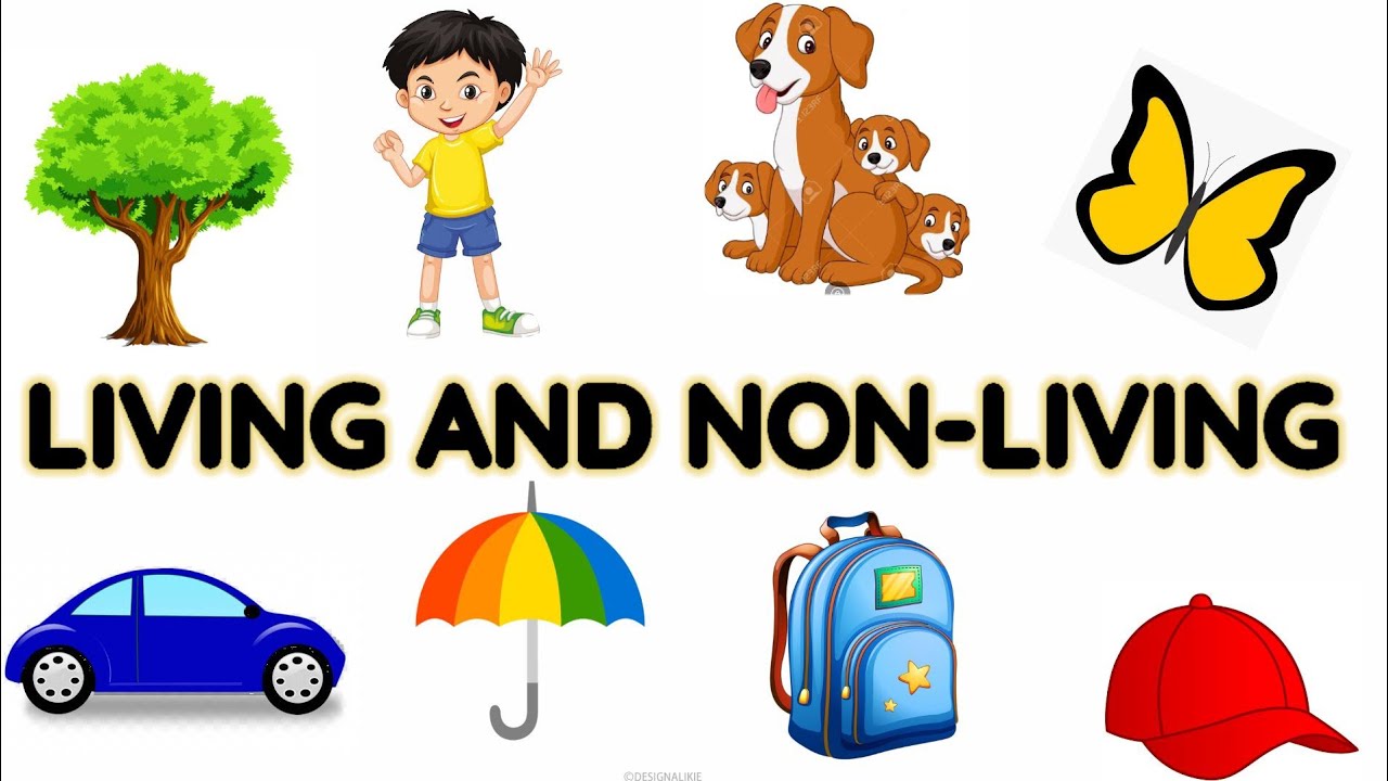 living things and nonliving things | Living and non living things for kids | Living and non living