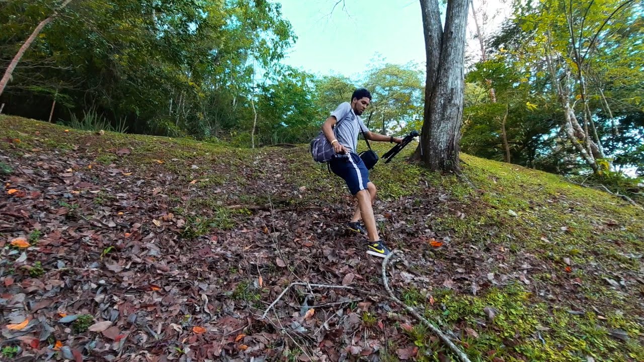 Almost Bitten by Two Snakes | La Vega Estate Easter Sunday Vlog