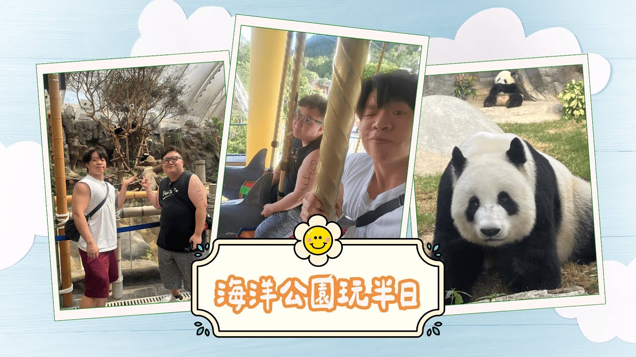 海洋公園玩半日 | #香港 #海洋公園  #熊貓