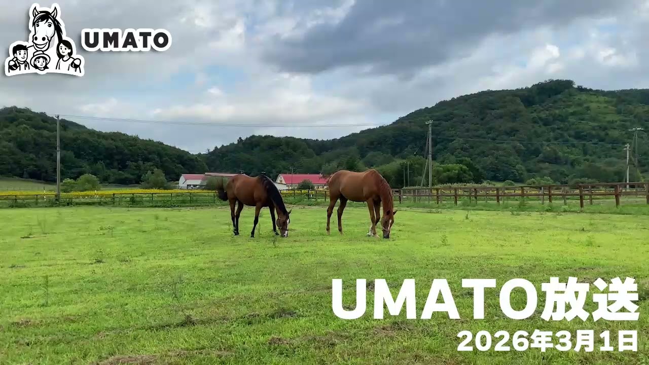 UMATO放送 2026年3月1日