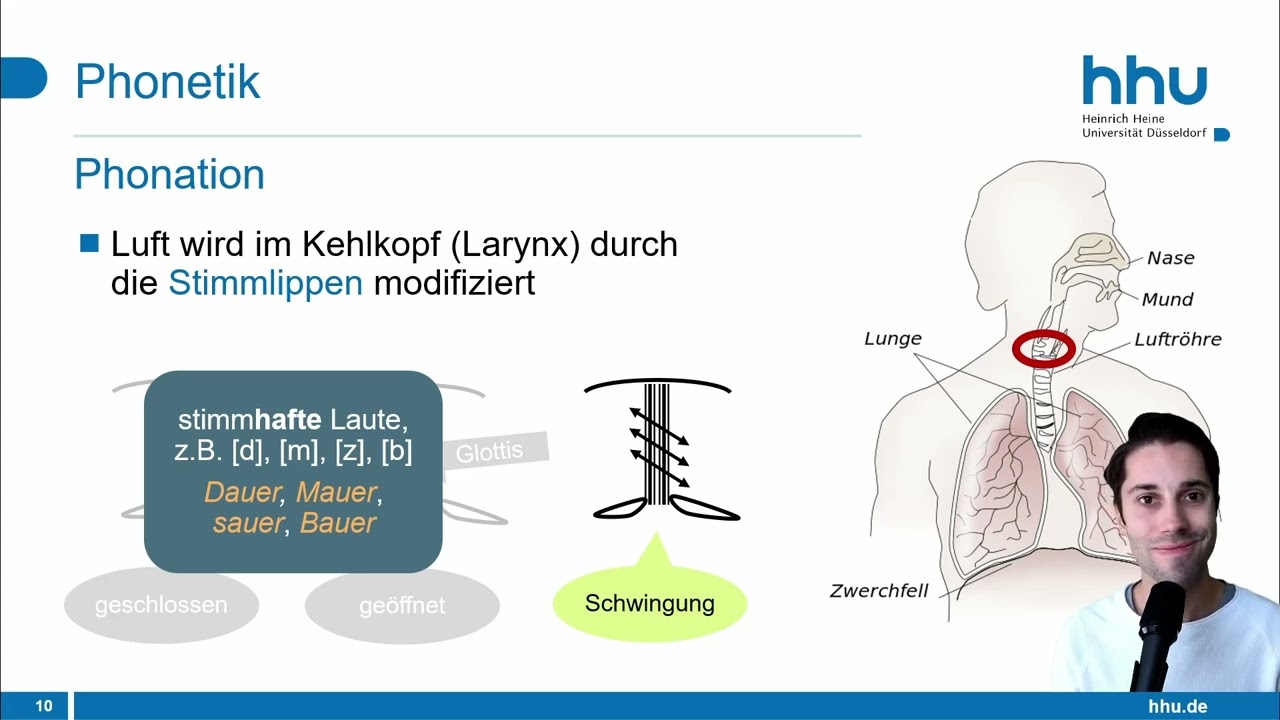 Phonetik und Phonologie (Teil 1): Phonetik