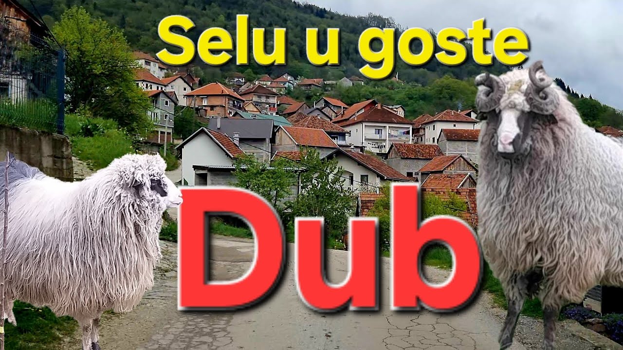 Dub kod Travnika: Selo na kraju svijeta ili početak nečeg većeg? Prosudite sami