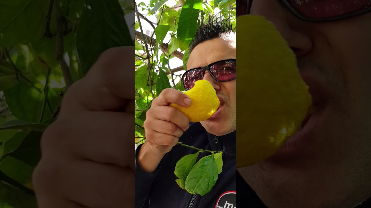Limoni IGP di Rocca Imperiale