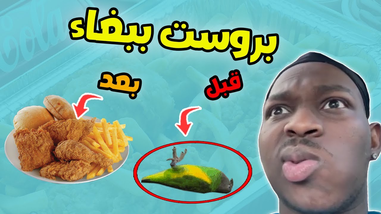 قصتي مع الببغاء حق الوالد