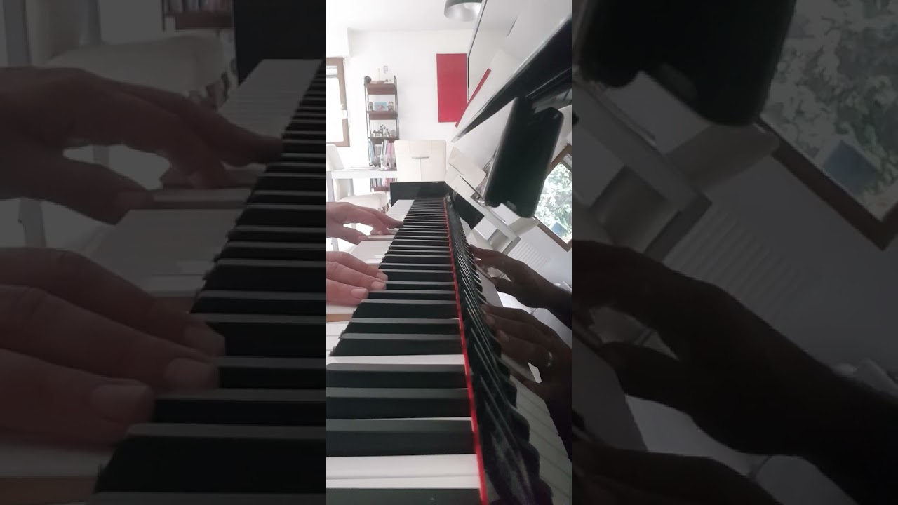 Compo piano #postrock #wetuthepenguin