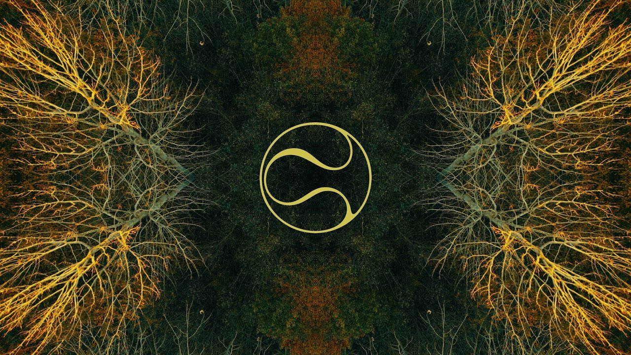 DEKEL & Modus - Golden Hour