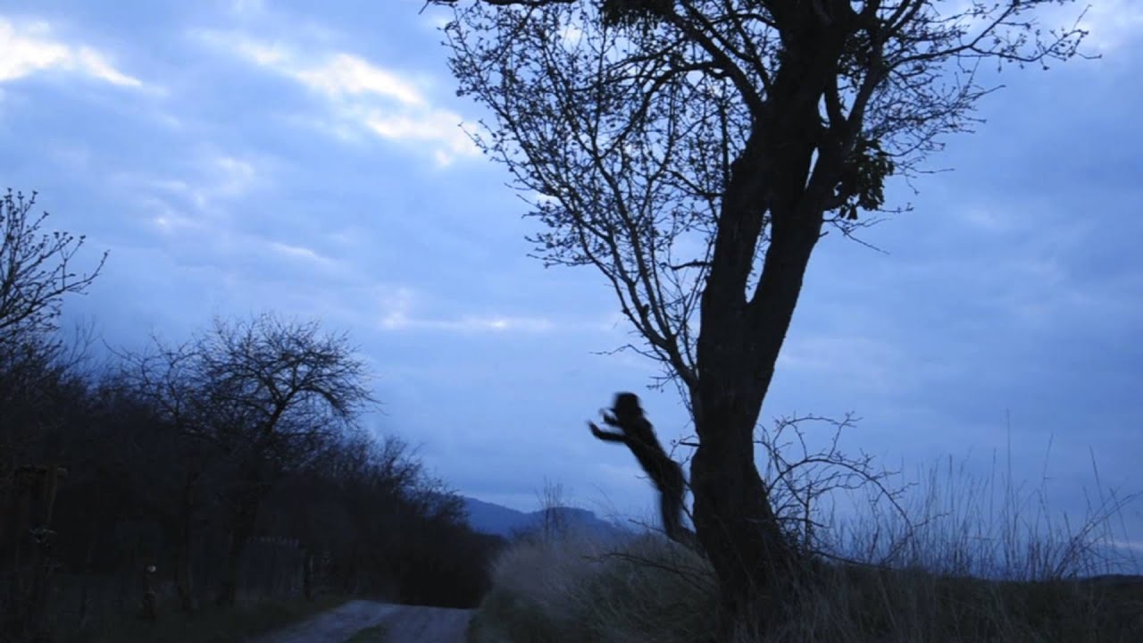 Places - Lou Doillon