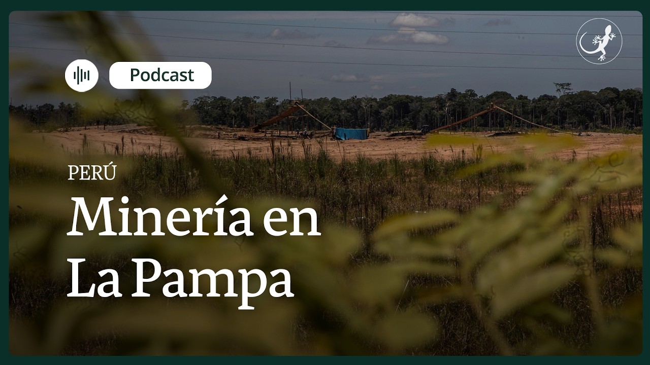 Extorsiones, amenazas y asesinatos: la minería que devasta los bosques en La Pampa, Perú