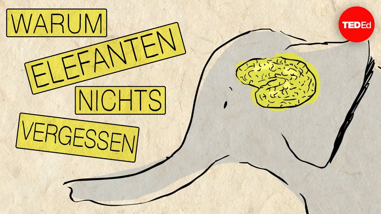 Warum Elefanten nichts vergessen – Alex Gendler