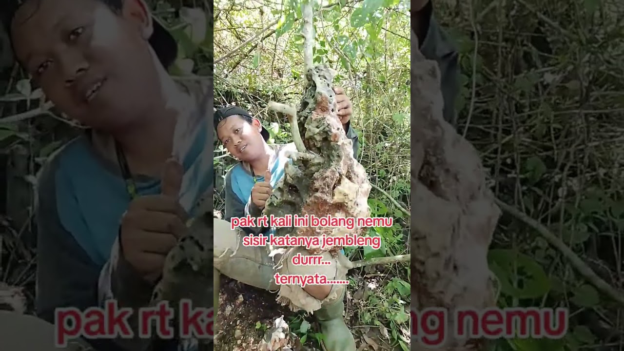 Bolang kali ini medan yang sangat licin dan berbahays