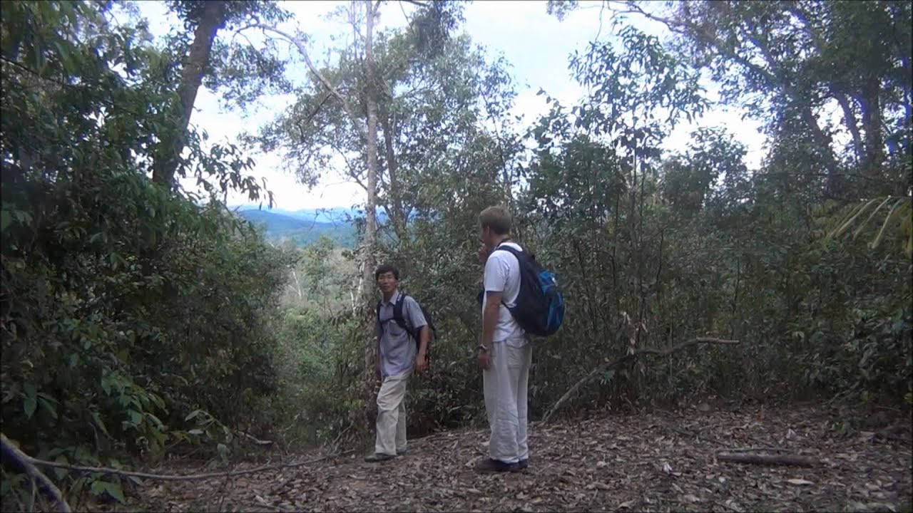 2 Day Hill Tribe Trek & Homestay Akha Village, North Laos