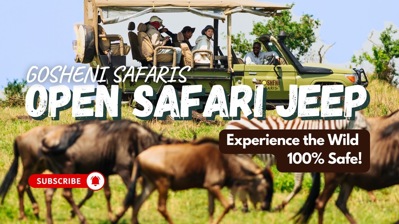 The Ultimate Safari Ride: Features of Our Open side Land Cruisers