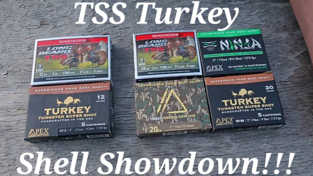 2025 Turkey Shell Showdown!!! Jebs VS Indian Creek! #apextss #longbeardtss
