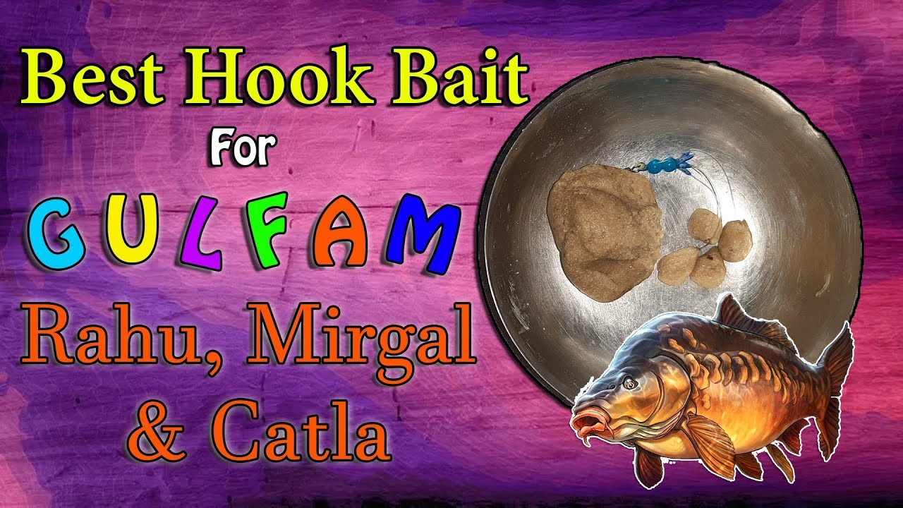 Best Hook Bait for Gulfam, Catla, Mirgal, Rahu - English Subtitles