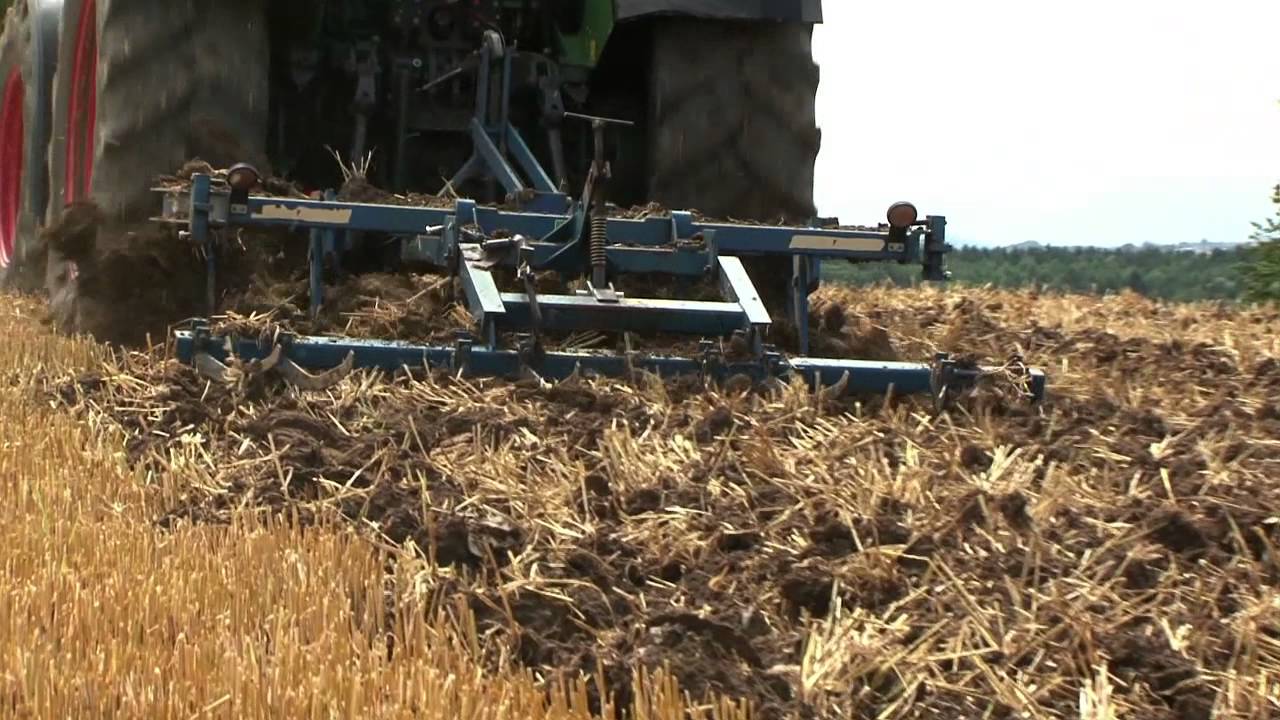 Berufsportrait Landwirt/in (Schweizerdeutsch)