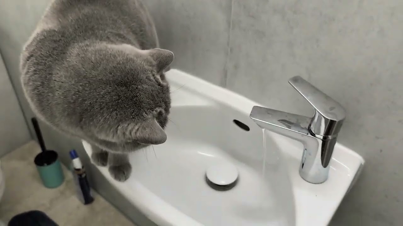 Lea mag es am Waschbecken mit den Wasser zu spielen XY9777