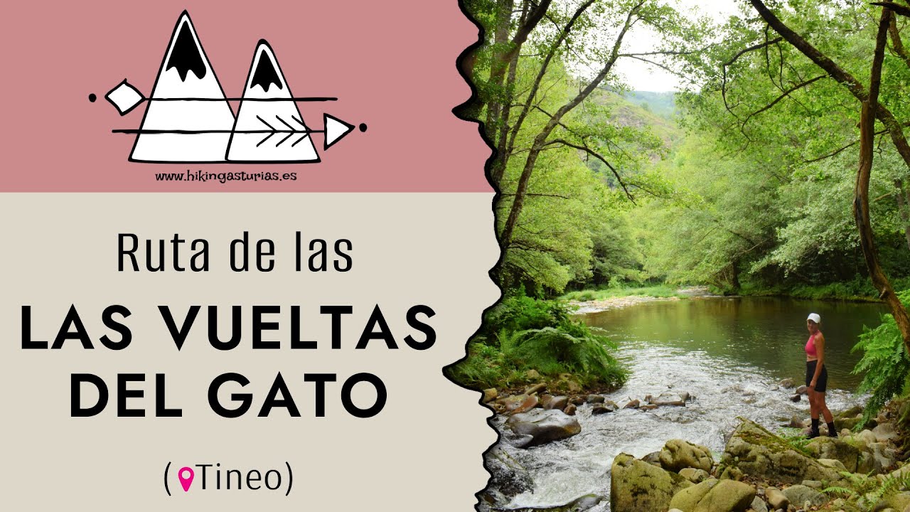 🥾RUTA LAS VUELTAS DEL GATO (📍Tineo)