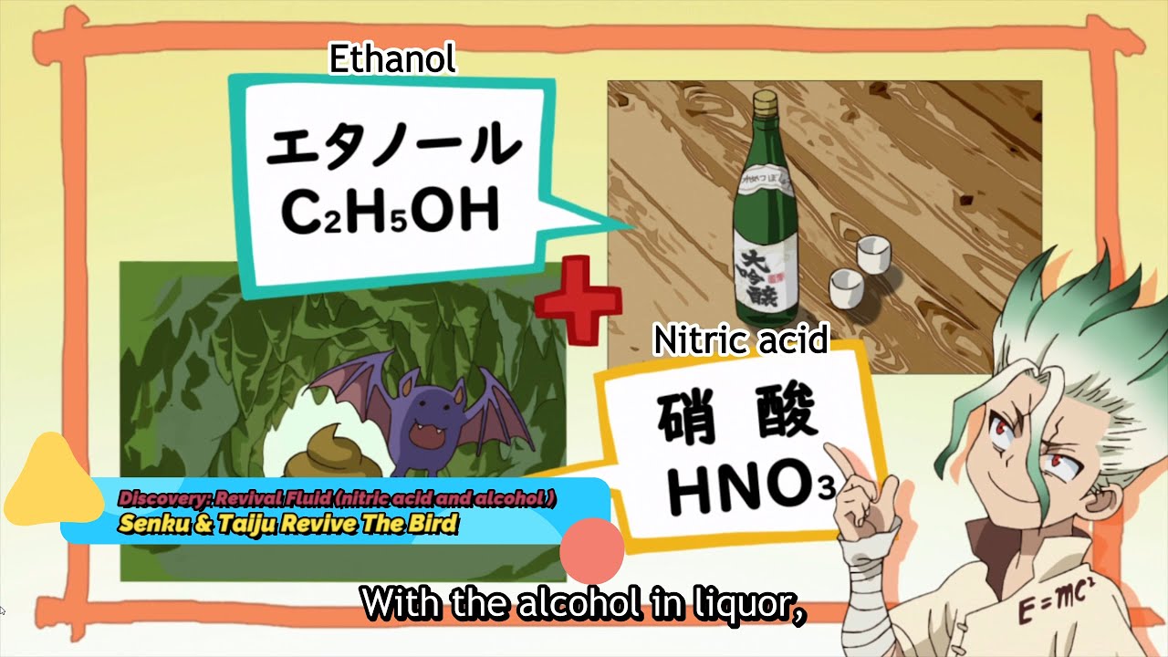 Dr Stone - Senku and Taiju Revive The Bird