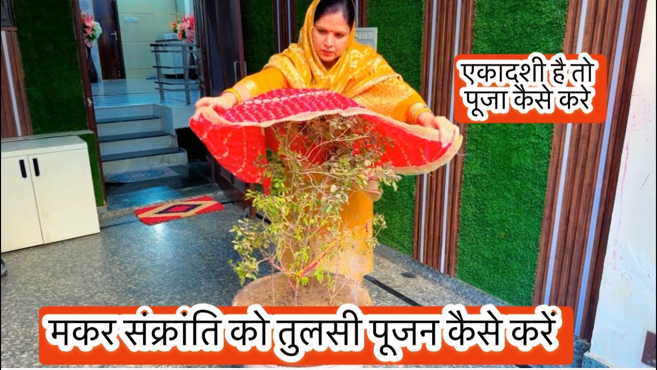 makar Sankranti ko tulsi puja kaise kare |