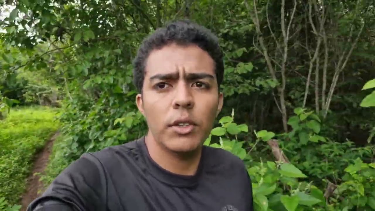 Meu trabalho na extração do coco babaçu