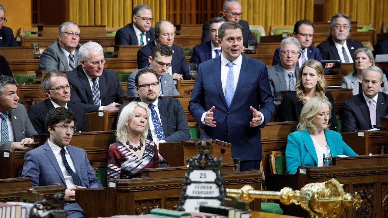 QP Live // P&Eacute;RIODE DE QUESTIONS EN DIRECT