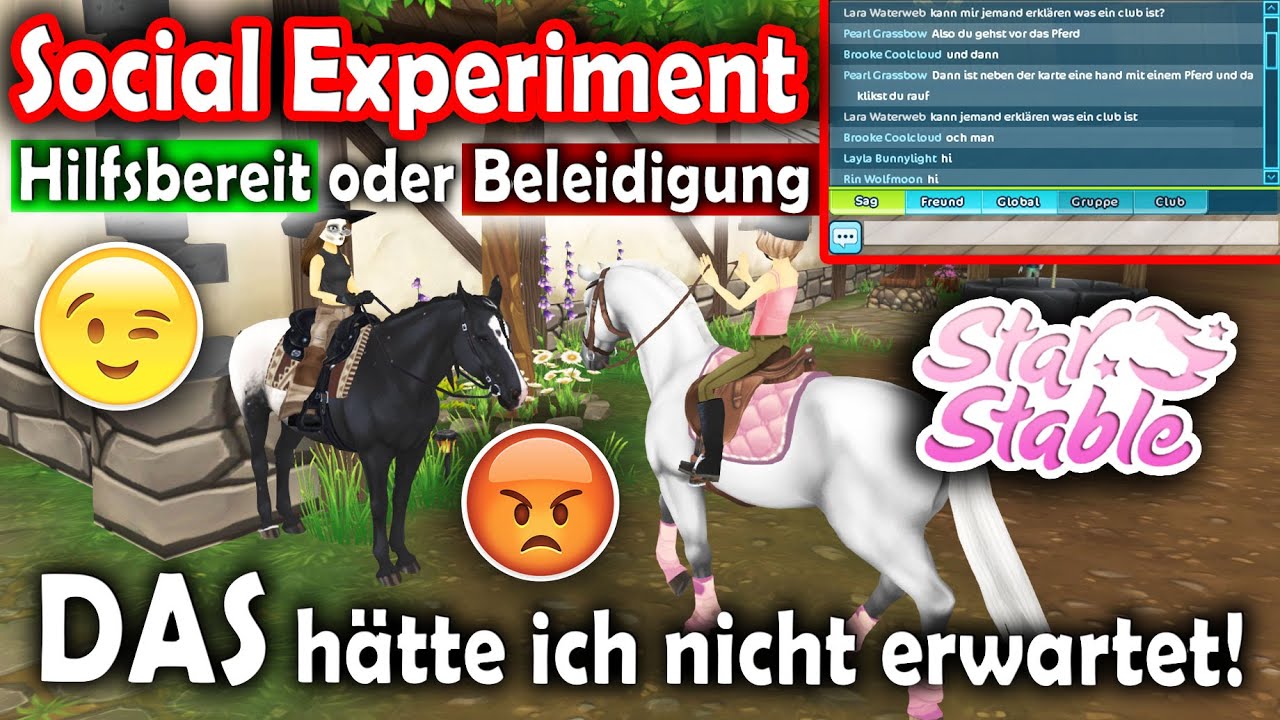 WIE reagiert der SSO CHAT auf 